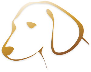 dog, animal, logo-1484728.jpg